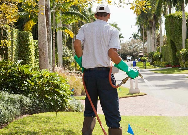 About Rose Hill IA Pest Control
